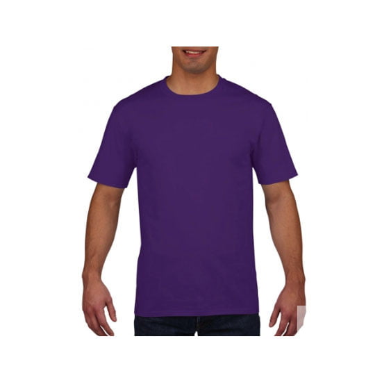 camiseta-gildan-premium-4100-purpura